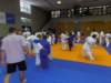 p6060200_small.jpg