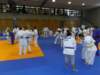 p6060201_small.jpg