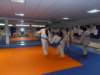p7020127_small.jpg