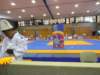 p7020144_small.jpg