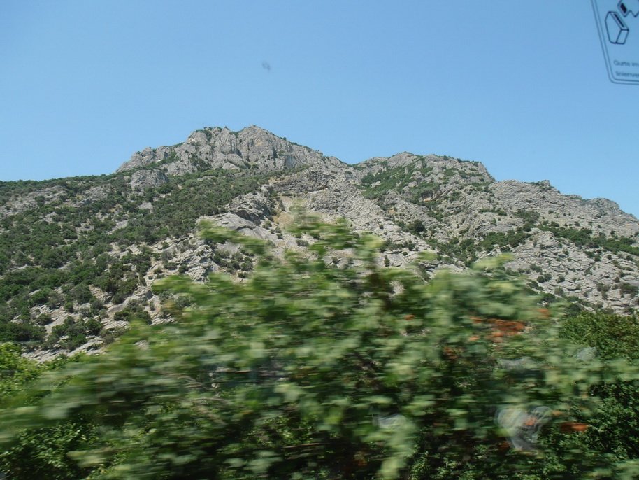 p6250039.jpg