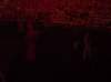 sdc10237_small.jpg