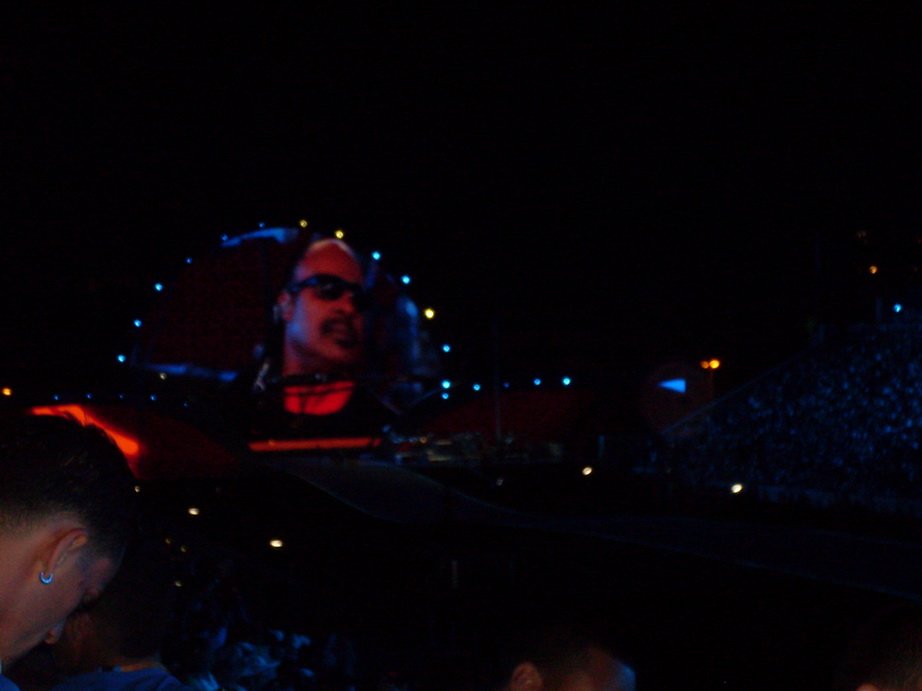 sdc10265.jpg