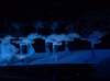 sdc10292_small.jpg