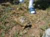 dscn0231_small.jpg