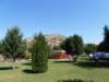 p6220286_small.jpg