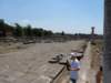 p6220348_small.jpg