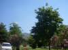 sdc10189_small.jpg