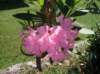 sdc10191_small.jpg