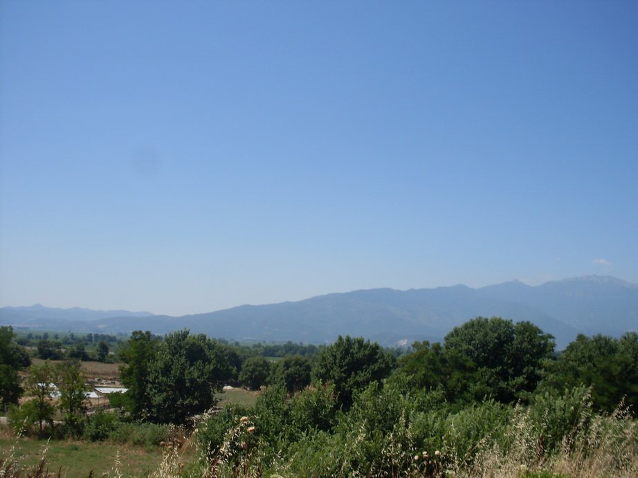 sdc10203.jpg