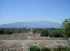 sdc10204_small.jpg