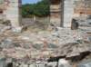 sdc10207_small.jpg