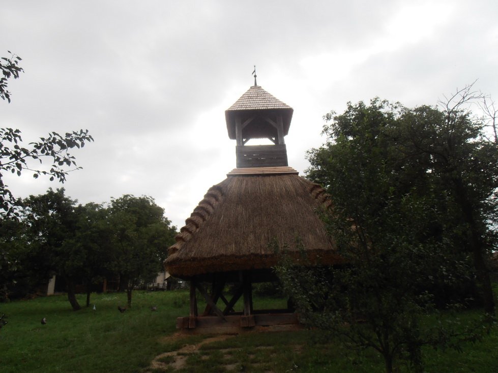 p7240410.jpg