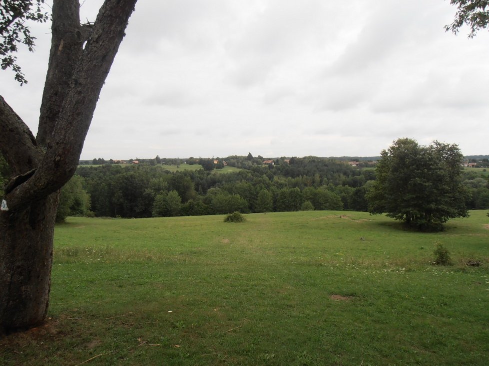 p7240436.jpg