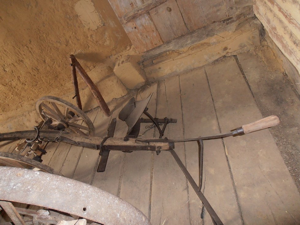 p7240444.jpg