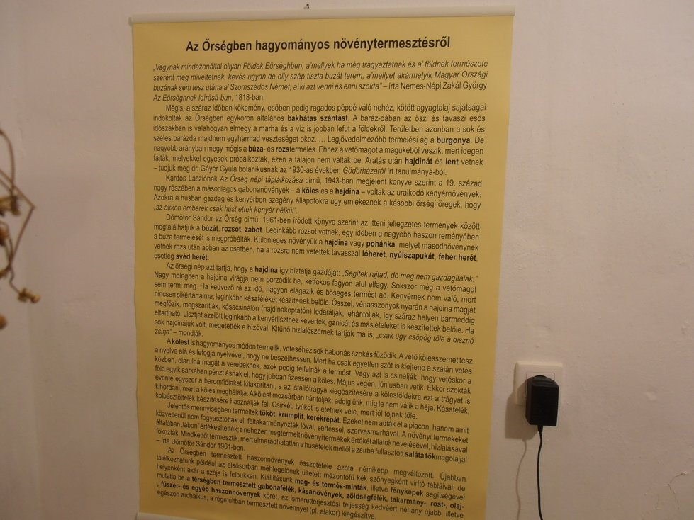 p7240463.jpg