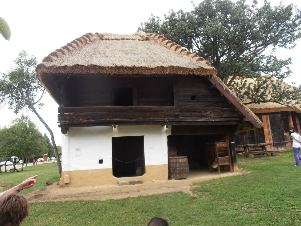 p7240481.jpg