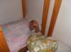 p7240547_small.jpg