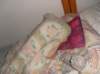 p7240549_small.jpg