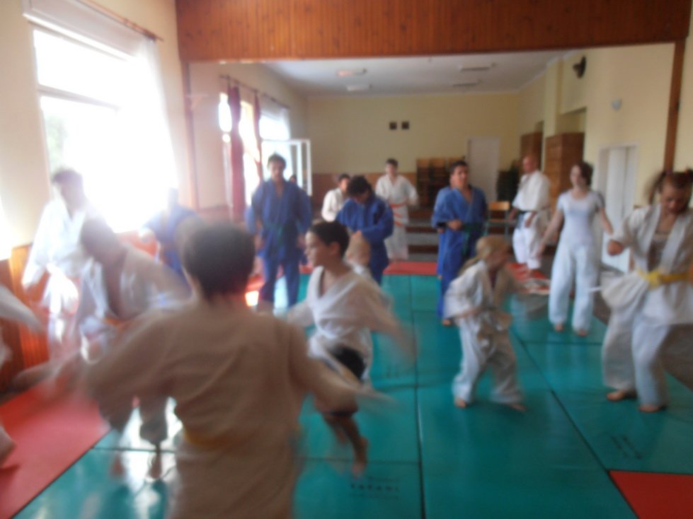 p7240649.jpg