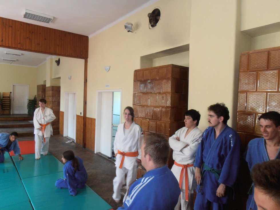 p7240683.jpg