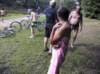 zmg_1242_small.jpg