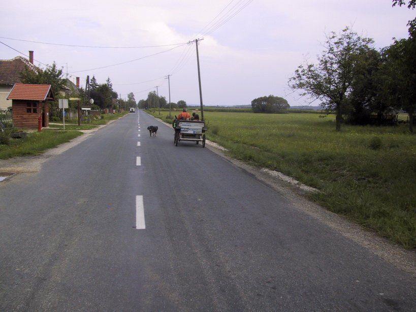zmg_1257.jpg