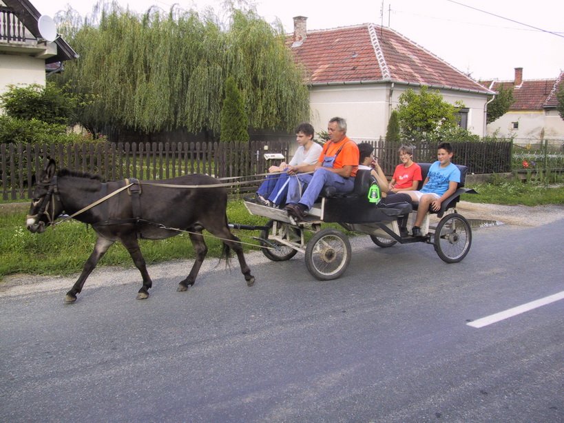 zmg_1263.jpg