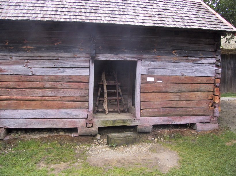 zmg_1304.jpg