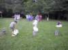 zmg_1342_small.jpg