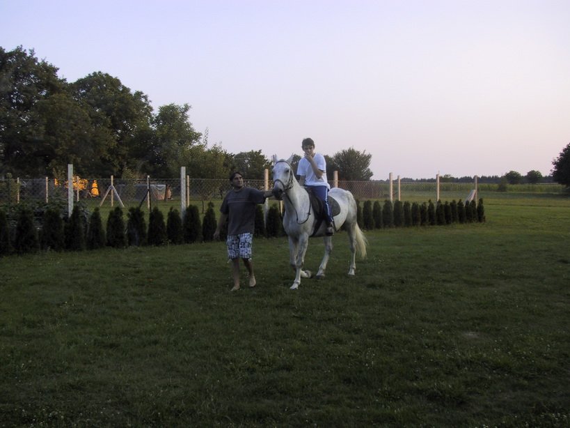 zmg_1385.jpg