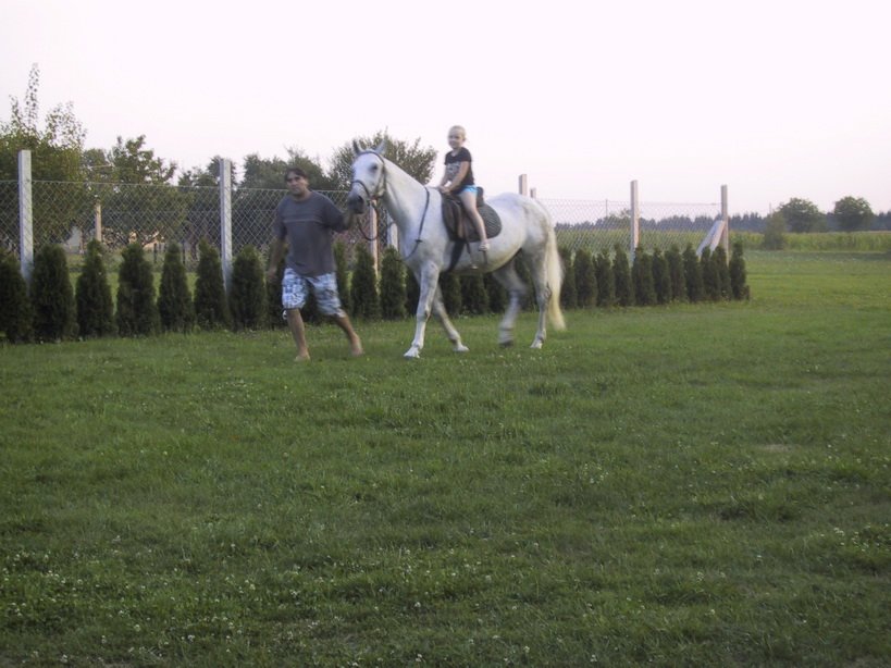 zmg_1388.jpg
