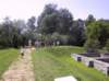 zmg_1532_small.jpg